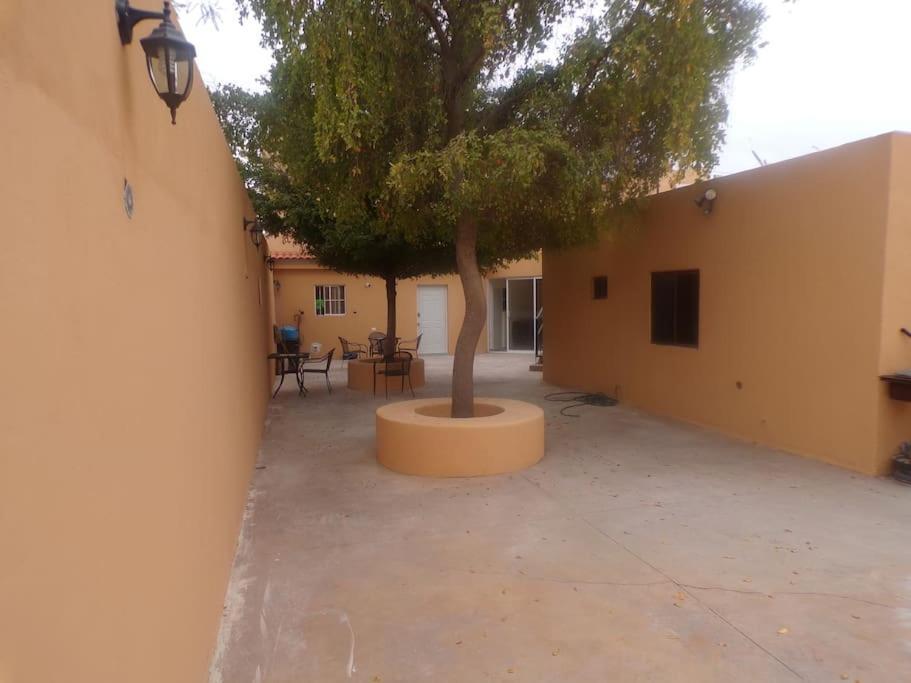 Apartamento 12 Con Dos Camas , A 200 Mts Del Vado Del Rio , Cerca Del Centro De Gobierno , Internet De Alta Velocidad Hermosillo Exteriér fotografie